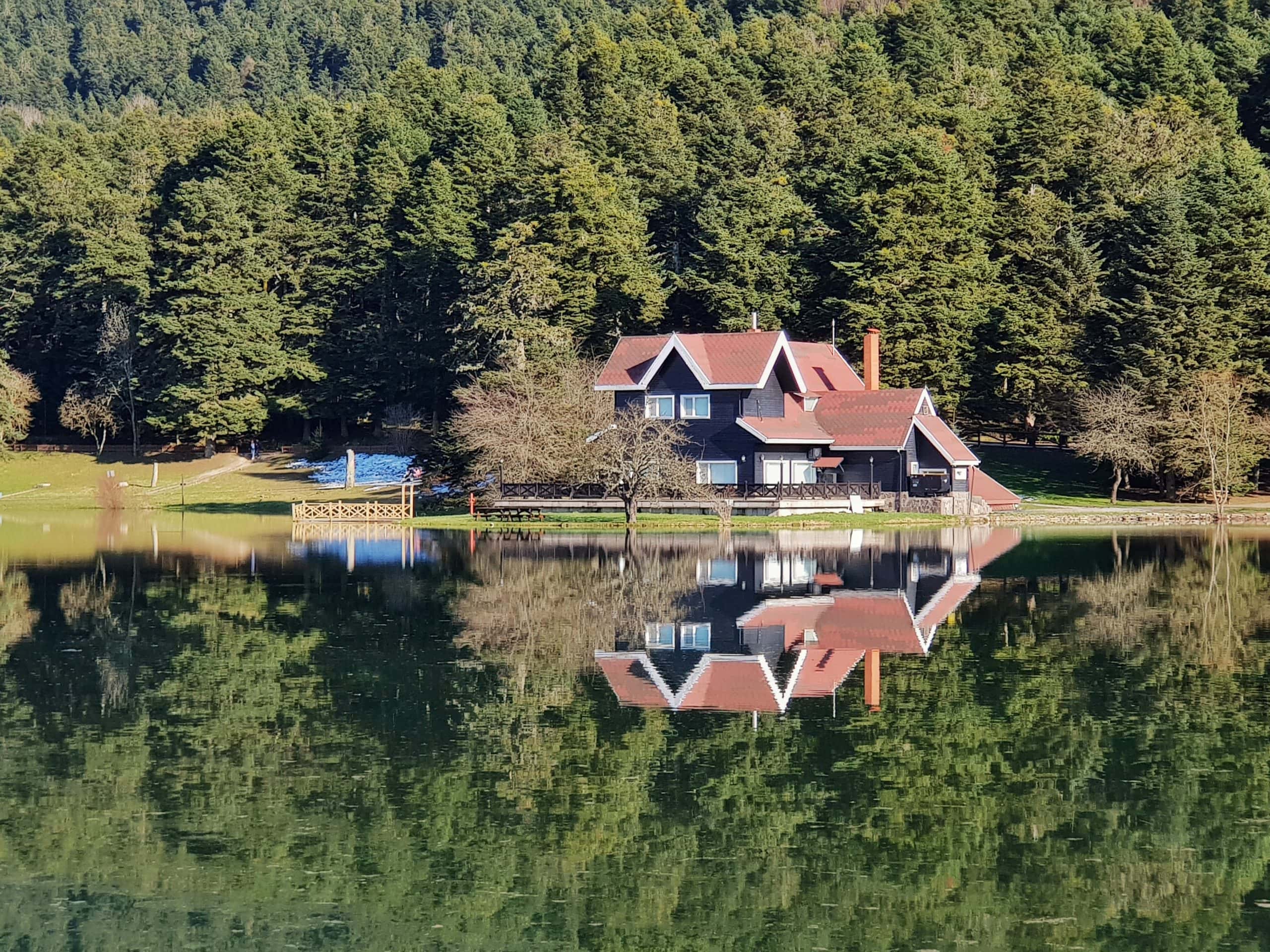 empty nester house plans, home on a lake