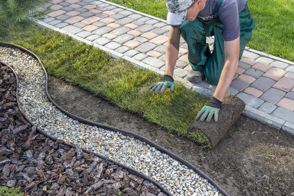 post construction landscaping